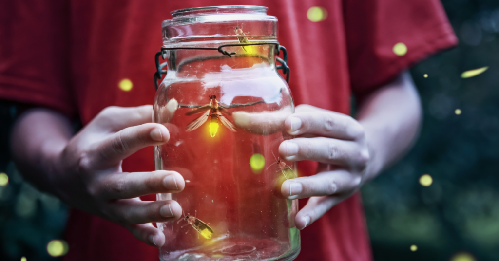 4th of july activities for kids - lightning bugs
